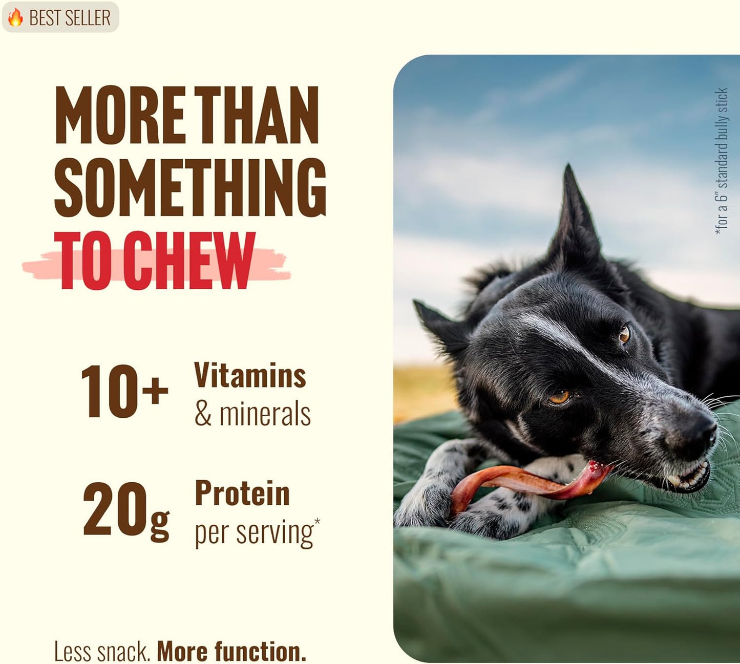 Natural Farm five to six inch beef pizzle chews for small dogs