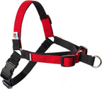 Wildebeest No Pull Dog Harness | Comfortable Training Harnesses | Effective No Pull Harness Design | Ideal for Small Dog and Puppy | 4-Point Adjustable (S -18~24 inch Girth, Turquoise) - Image 10