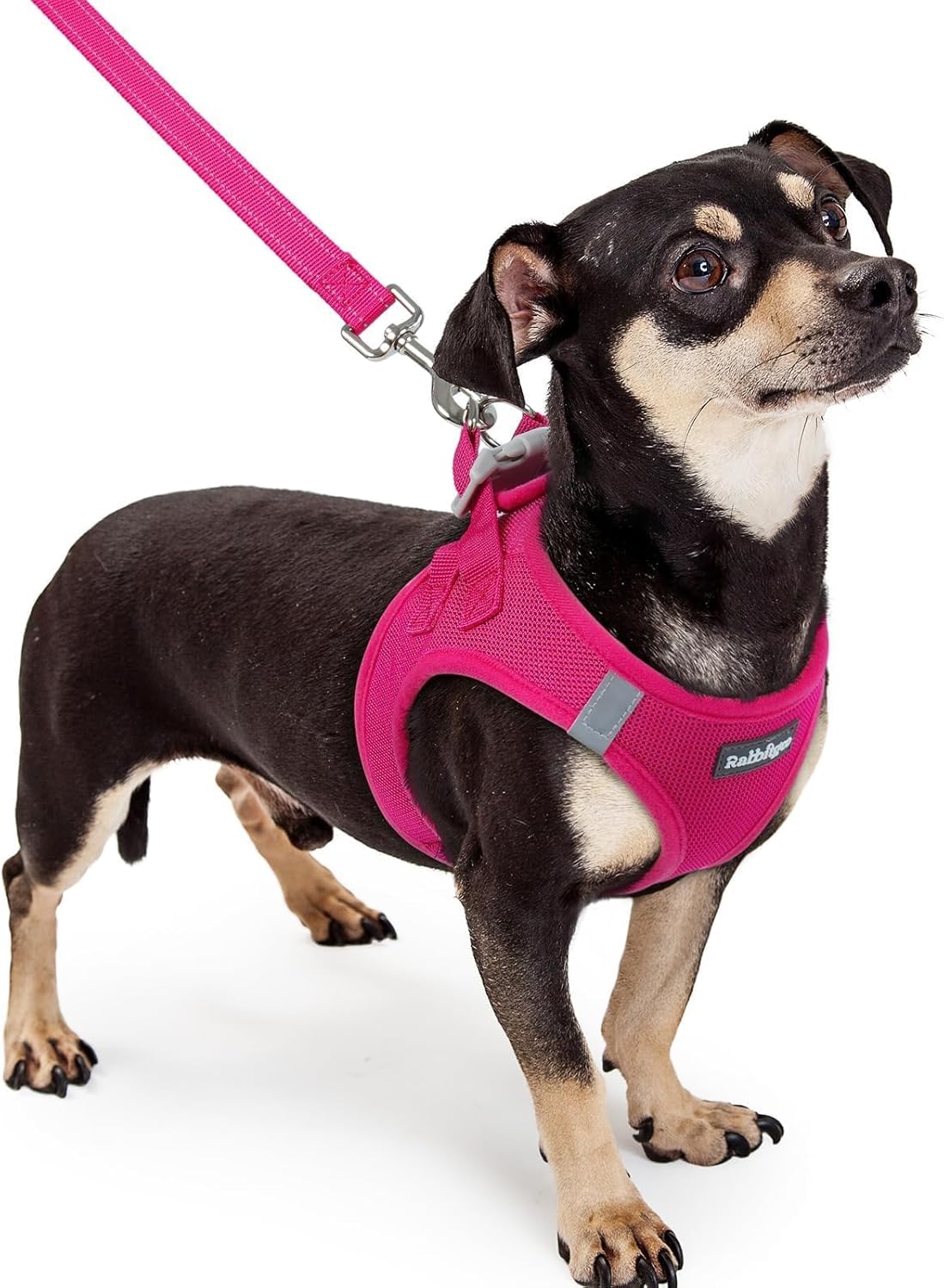 rabbitgoo Dog Harness Small Sized and Leash Set, Step in Soft Light Puppy Vest, Breathable Mesh Pet Harness, Reflective for Safe Easy Walking, Rose Red S - Image 15