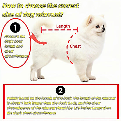 RyanDesign yellow trimmed clear pet poncho back view coverage