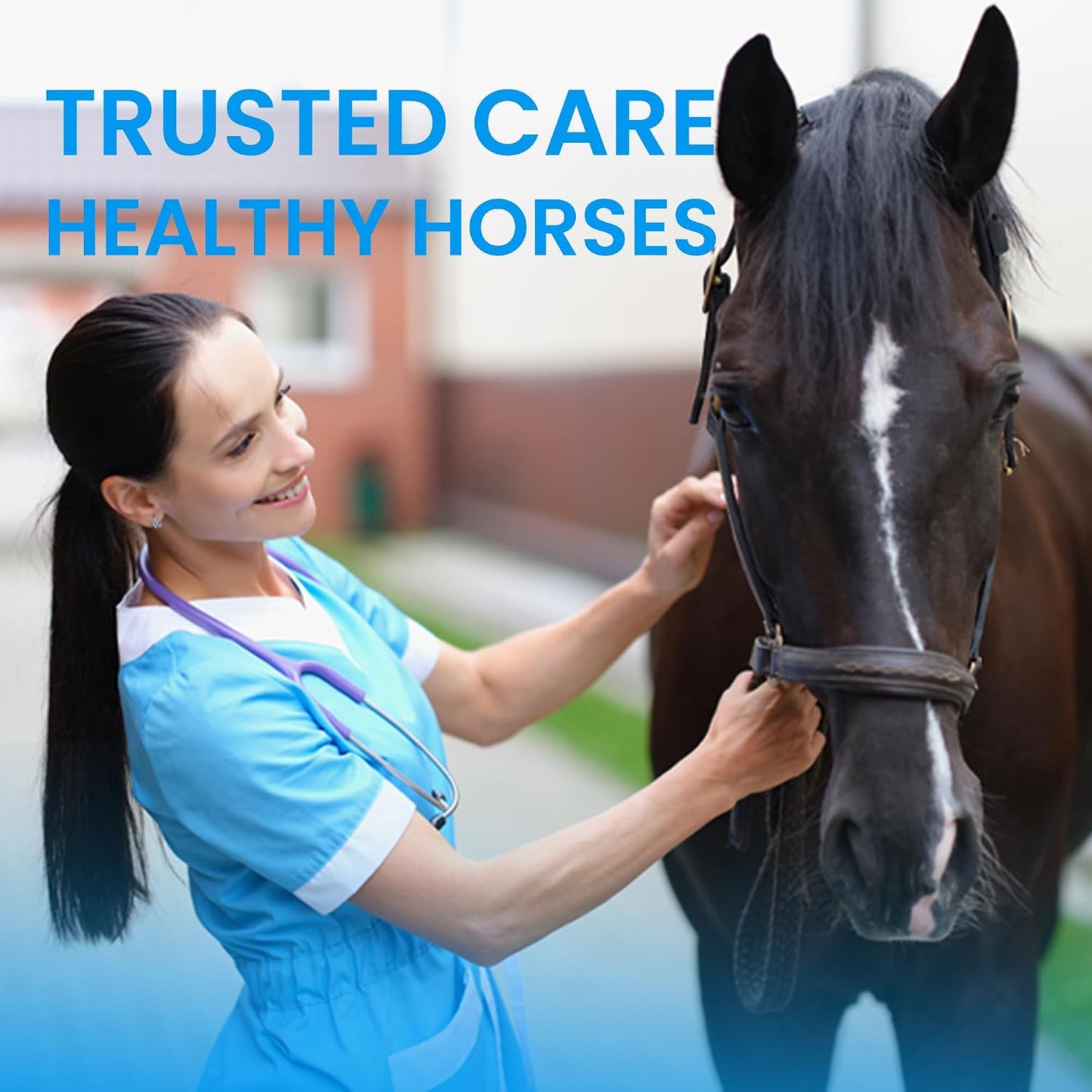 Equine grooming supplies including Vetanimus eye cleanser