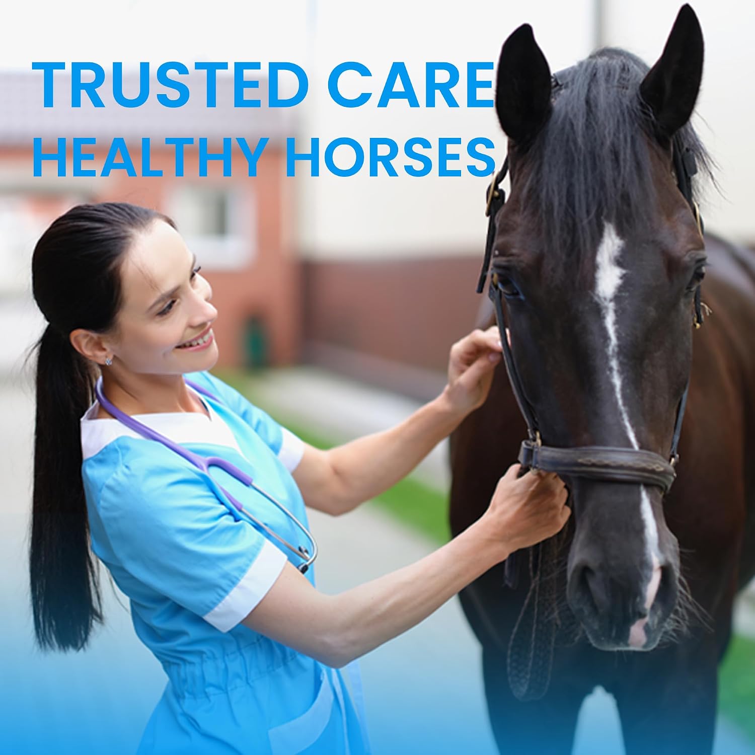 Equine grooming supplies including Vetanimus eye cleanser