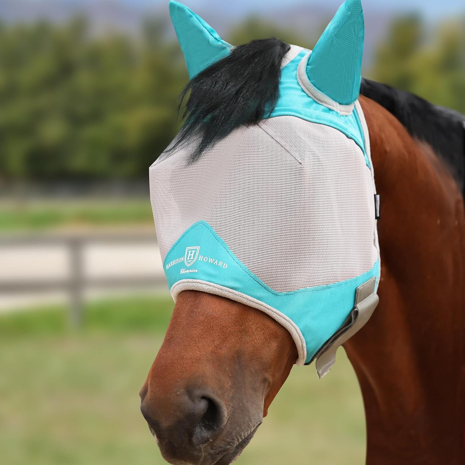 Adjustable strap detail of Harrison Howard fly mask
