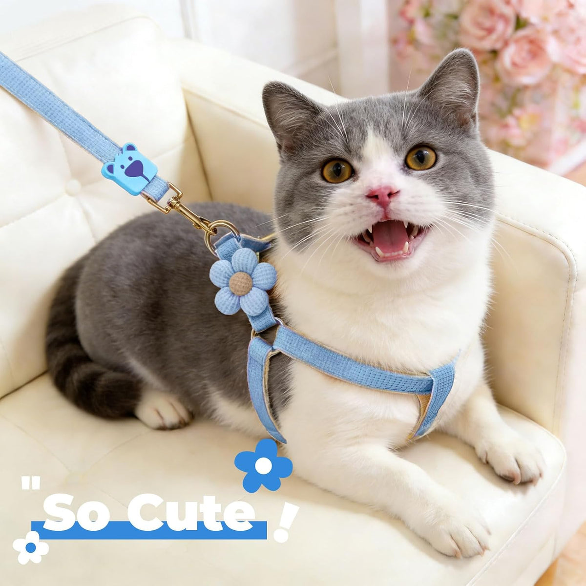 Close up of secure buckle on Petcare cat harness