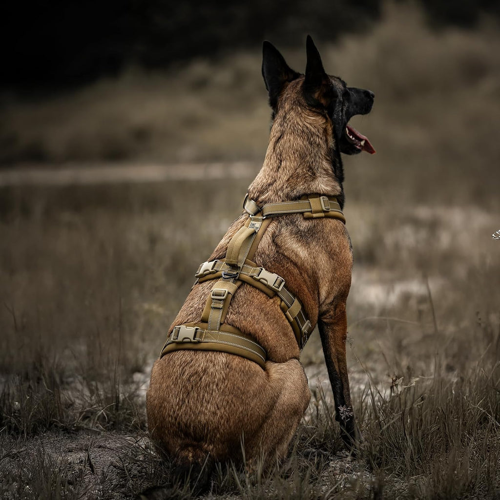 OneTigris harness on a large dog demonstrating ergonomic Y-shape