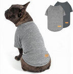 Premium warm pet pullover for winter layering and daily wear