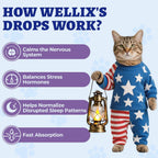 Nutrivio Wellix natural pet supplement bottle displaying the active ingredient details clearly