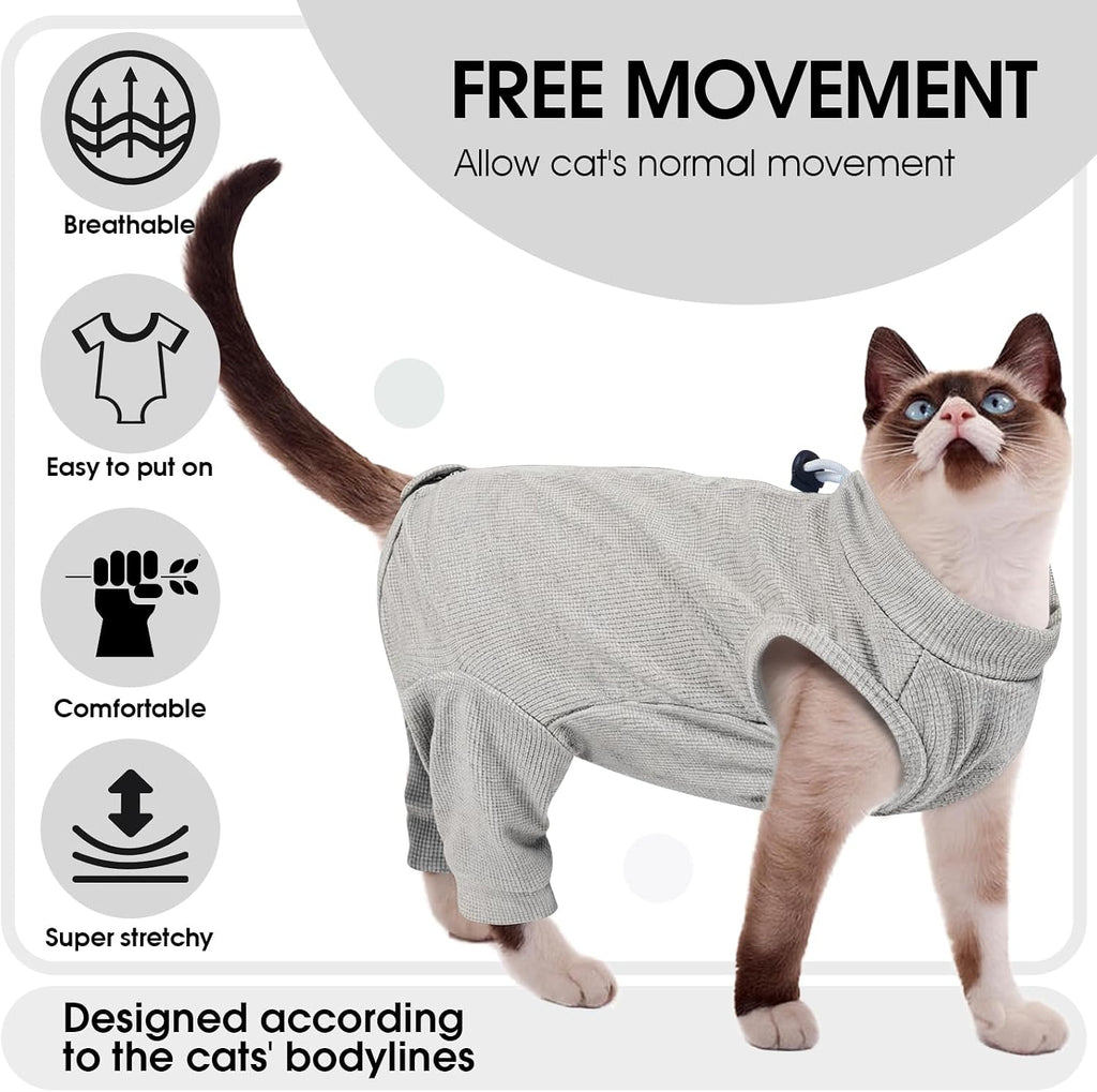 Cat wearing Adnikia post-surgery suit after abdominal procedure