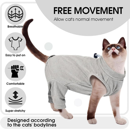 Cat wearing Adnikia post-surgery suit after abdominal procedure