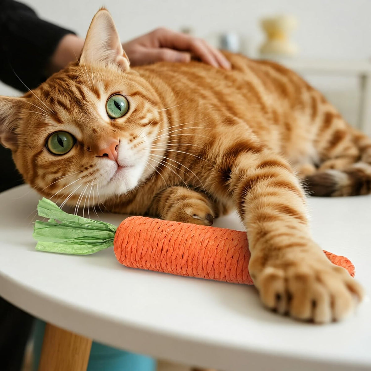 Two piece orange carrot shaped cat dental chew toys on clean background