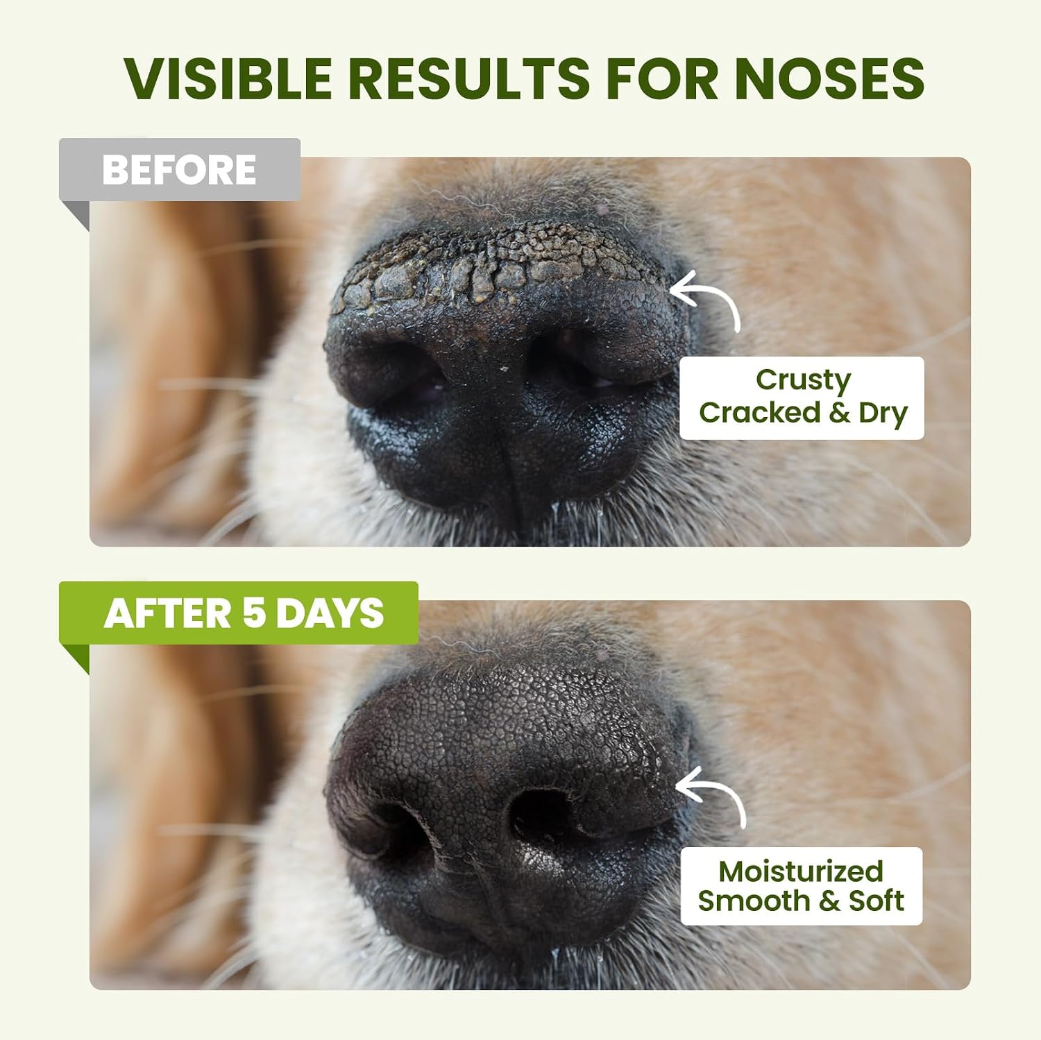 Twist-up mechanism of the PawSono paw and nose balm