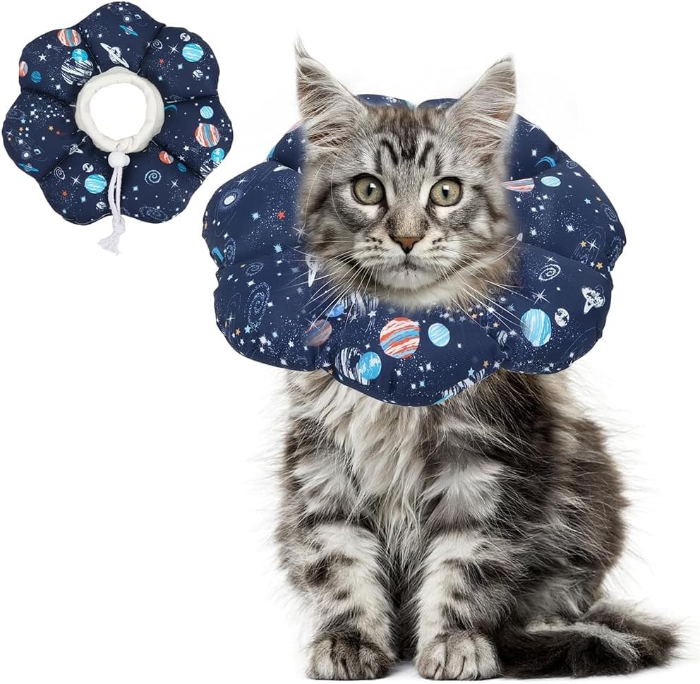 ComSaf soft cat recovery collar front view on a kitten