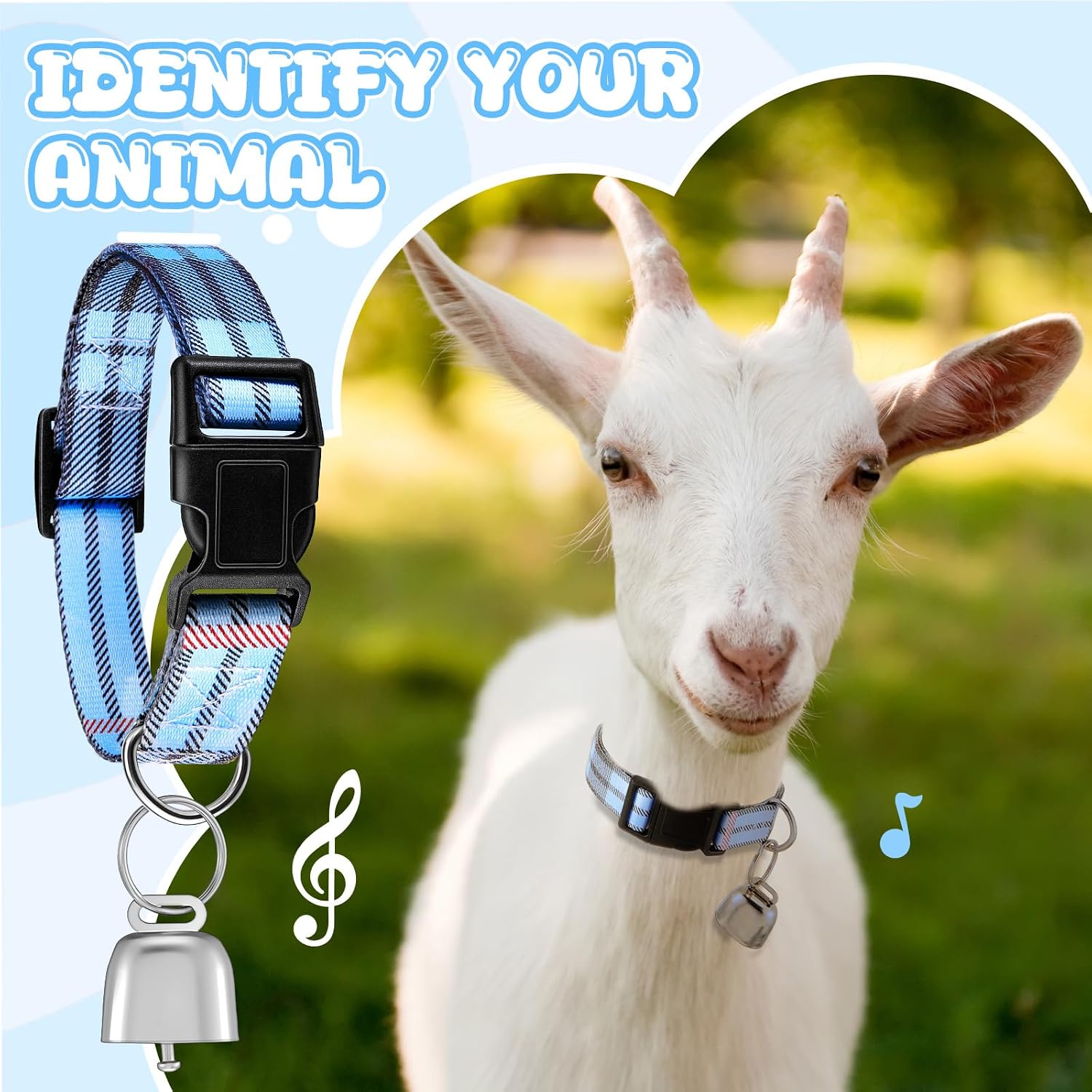 High angle shot of the durable blue striped nylon webbing material emphasizing the thick texture and smooth edges meant for small livestock.