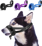 SlowTon soft nylon dog muzzle front view on a medium breed dog showing the black adjustable snout strap