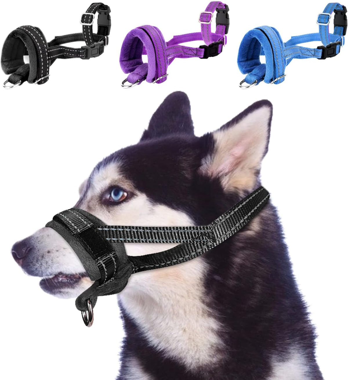 SlowTon soft nylon dog muzzle front view on a medium breed dog showing the black adjustable snout strap