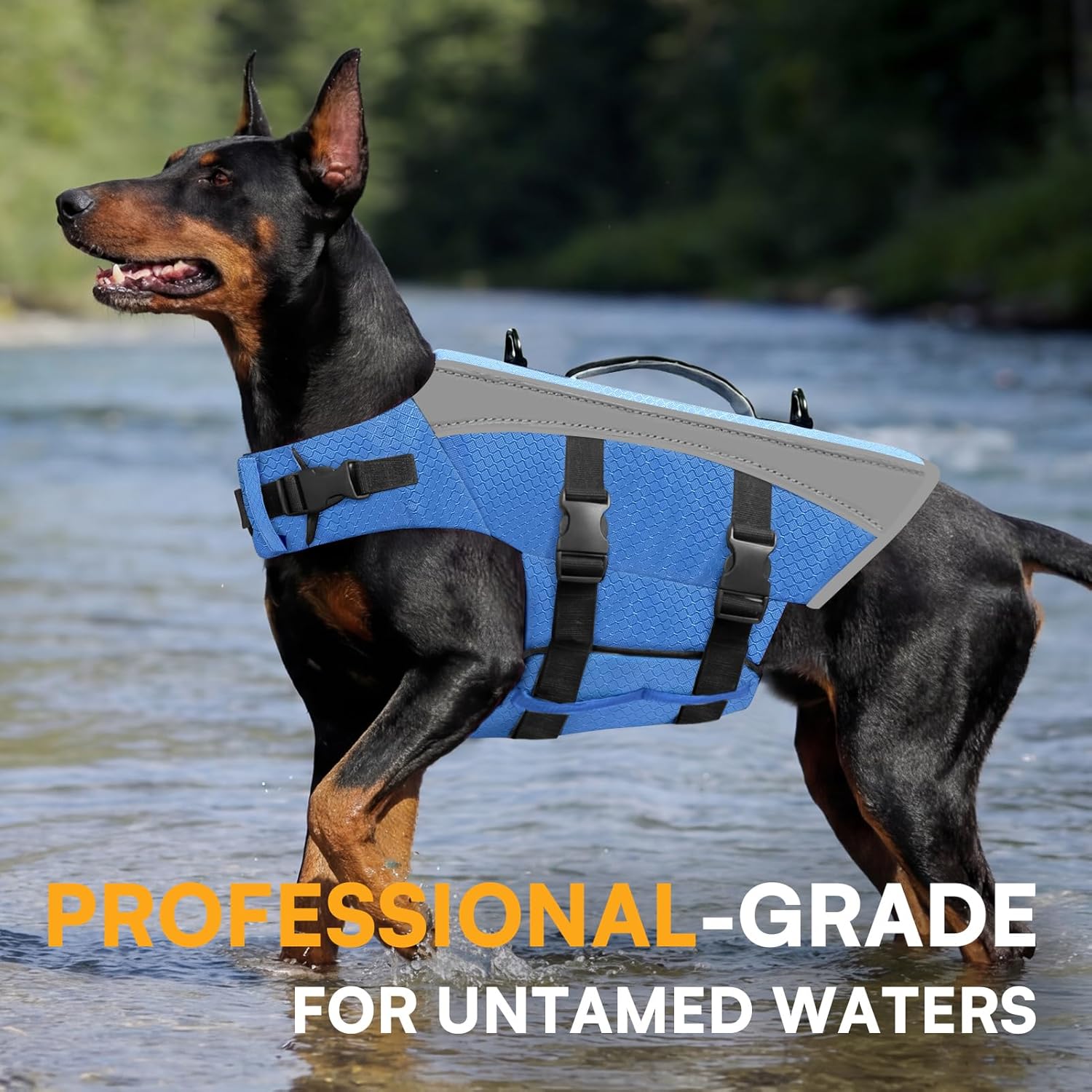 Queenmore tear resistant Oxford fabric dog vest layout view