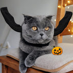 Integrated metal D-ring detail on the back of Rypet cat bat wings costume