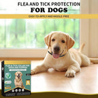 Flea Collar for Dogs 4 Pack, 32 Months Comfort Flea and Tick Prevention, Waterproof Dog Flea and Tick Collar, Adjustable Flea and Tick Treatment for Dogs - One Sizes Fit All (Black) - Image 9