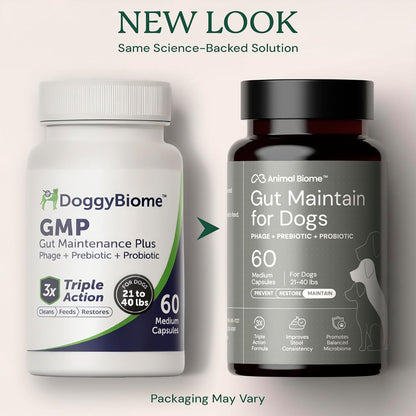 AnimalBiome dog probiotic supplement bottle on white background