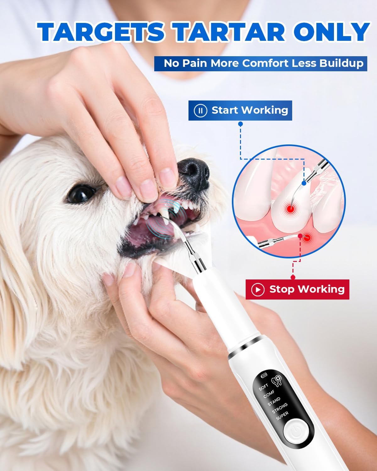 Pawsion pet plaque remover with LED light feature