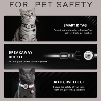 Reflective strip visibility on a blue breakaway kitten collar at night.