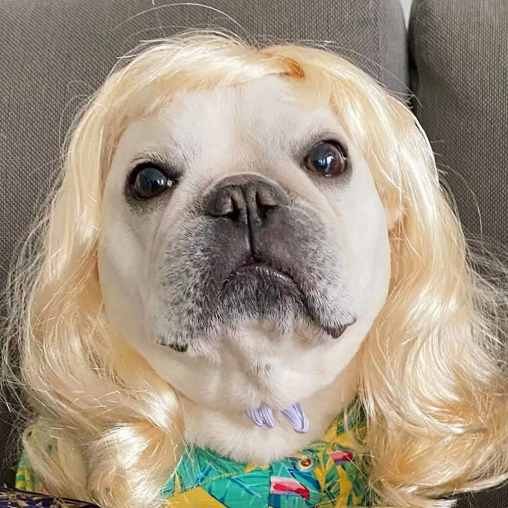 TESSVEYA authentic USA sourced dog wig packaging details and sizing illustration