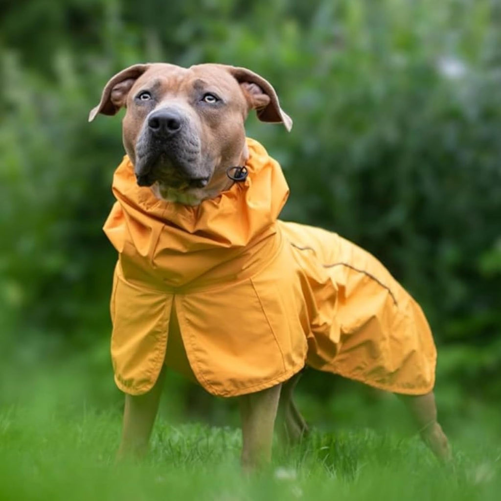 Spark Paws 3XL pet apparel demonstrating the rear leg toggles for easy bathroom access.