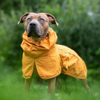 Spark Paws 3XL pet apparel demonstrating the rear leg toggles for easy bathroom access.