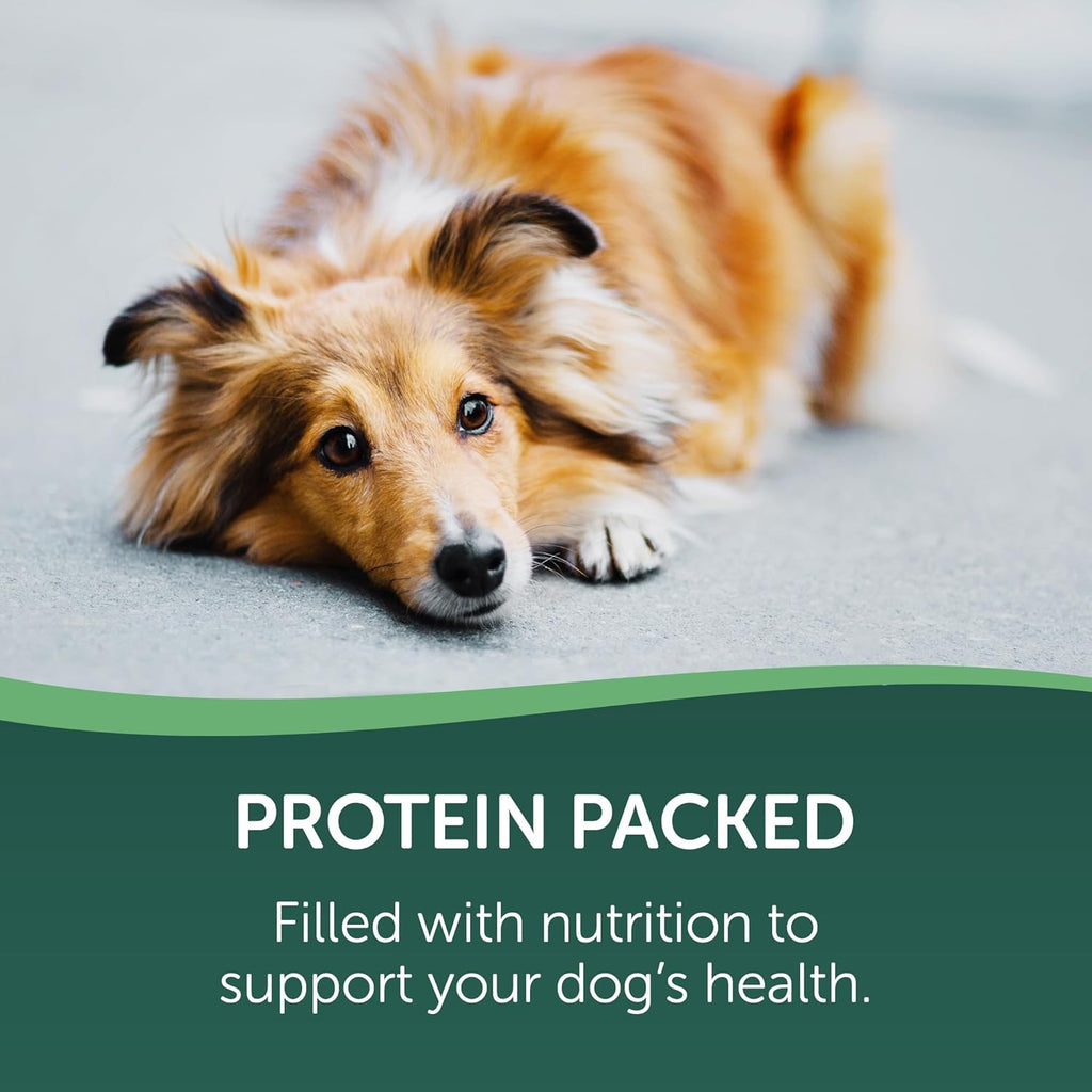 Healthfuls natural high-protein dog treats