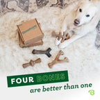 Benebone Medium 4-Pack Dog Toys for Aggressive Chewers - Durable Dog Bones, Made in USA - Dog Toys for Medium Dogs Under 60 lbs - Image 5