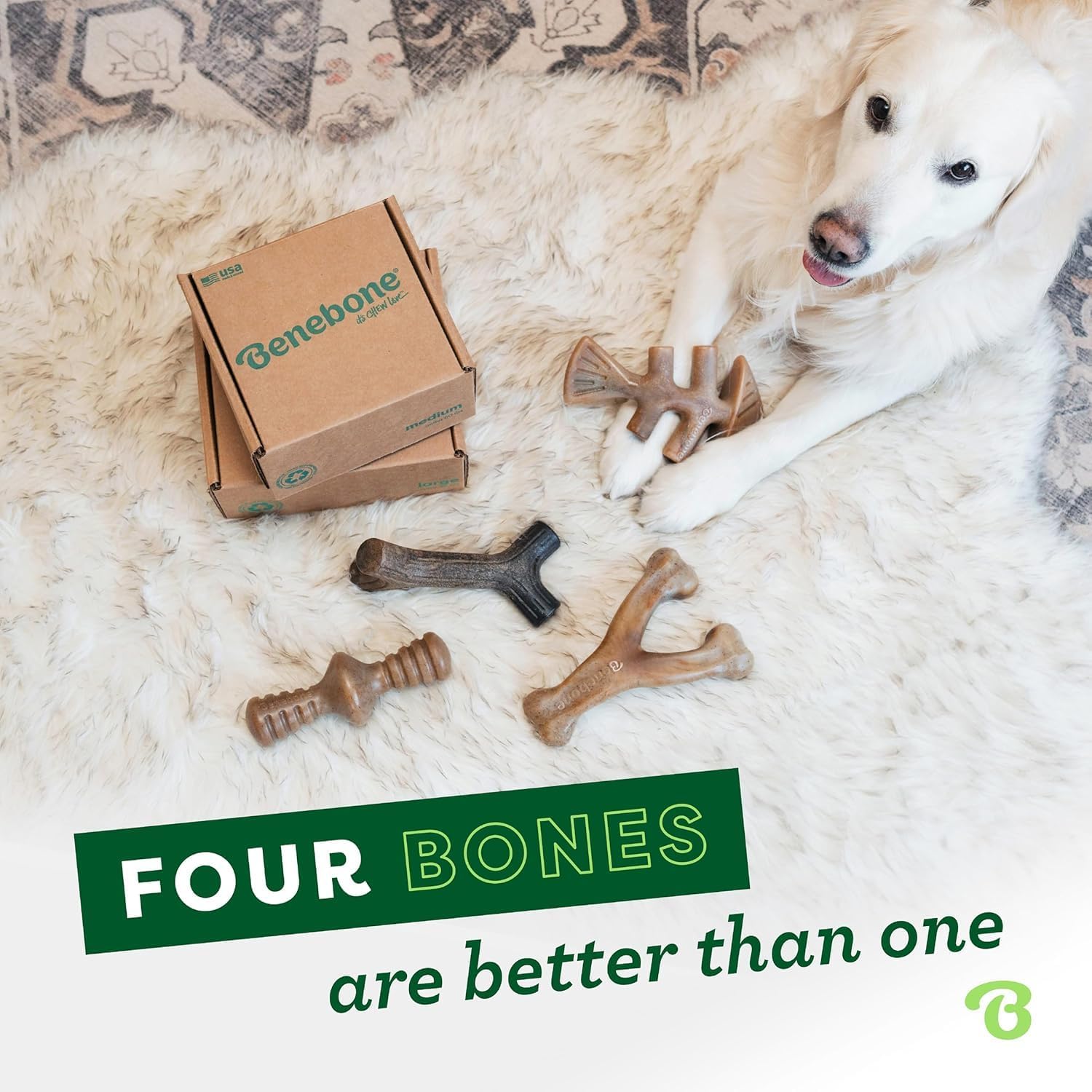 Benebone Medium 4-Pack Dog Toys for Aggressive Chewers - Durable Dog Bones, Made in USA - Dog Toys for Medium Dogs Under 60 lbs - Image 5