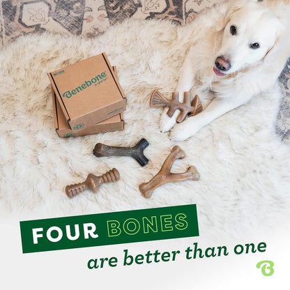 Benebone Medium 4-Pack Dog Toys for Aggressive Chewers - Durable Dog Bones, Made in USA - Dog Toys for Medium Dogs Under 60 lbs - Image 5
