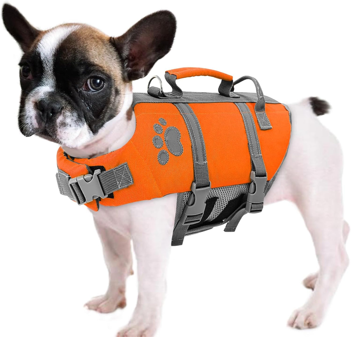 Queenmore Small Dog Life Jacket, Ripston Dog Life Vest, Small Doggie Life Vest for Swimming, Safety Puppy Swimming Vest with Handle, Puppy Preserver for Boating, Pet Lifesaver for Water Pool - Image 13
