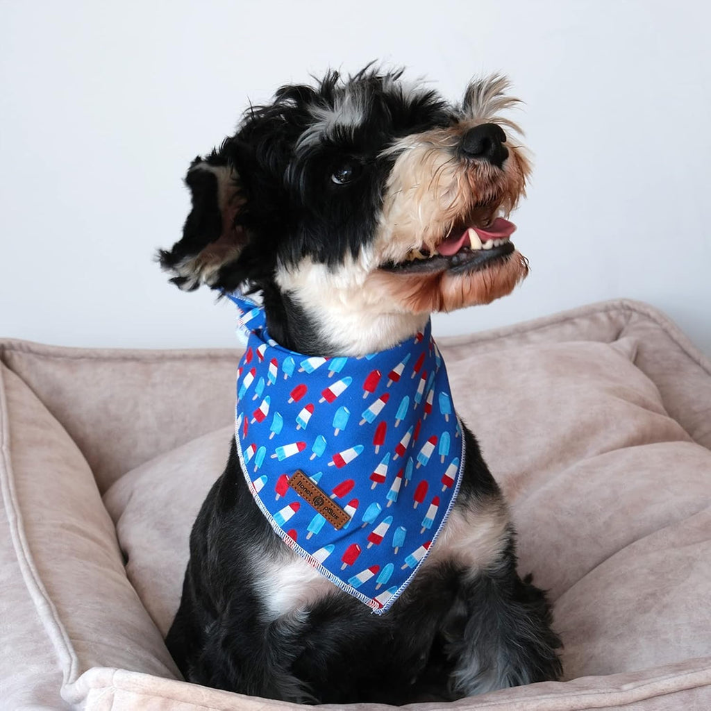 Lionet Paws adjustable cotton triangle scarf showcased on a medium sized dog during an outdoor walk.