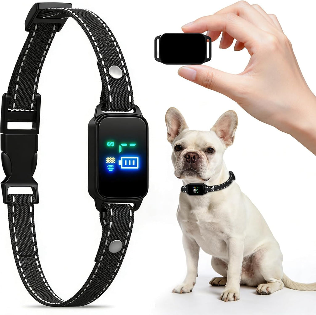 Canegis automatic bark collar for dogs front view