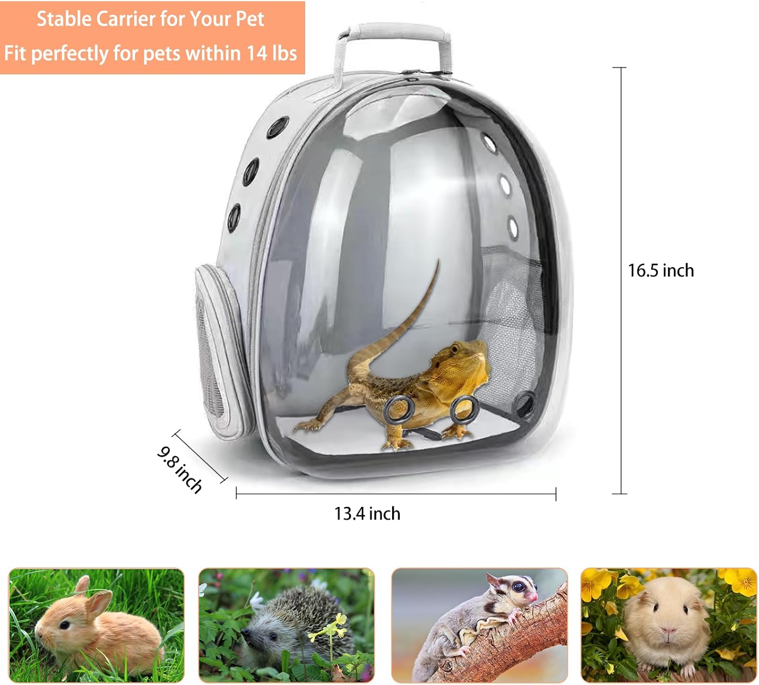 Bearded Dragon Carrier with Harness and Leash Set Large Small Animal Carrier Backpack Bubble Window Portable Small Pet Carrier for Reptile Lizard Rabbit Bird Guinea Pig Cat Travel Walking - Image 2