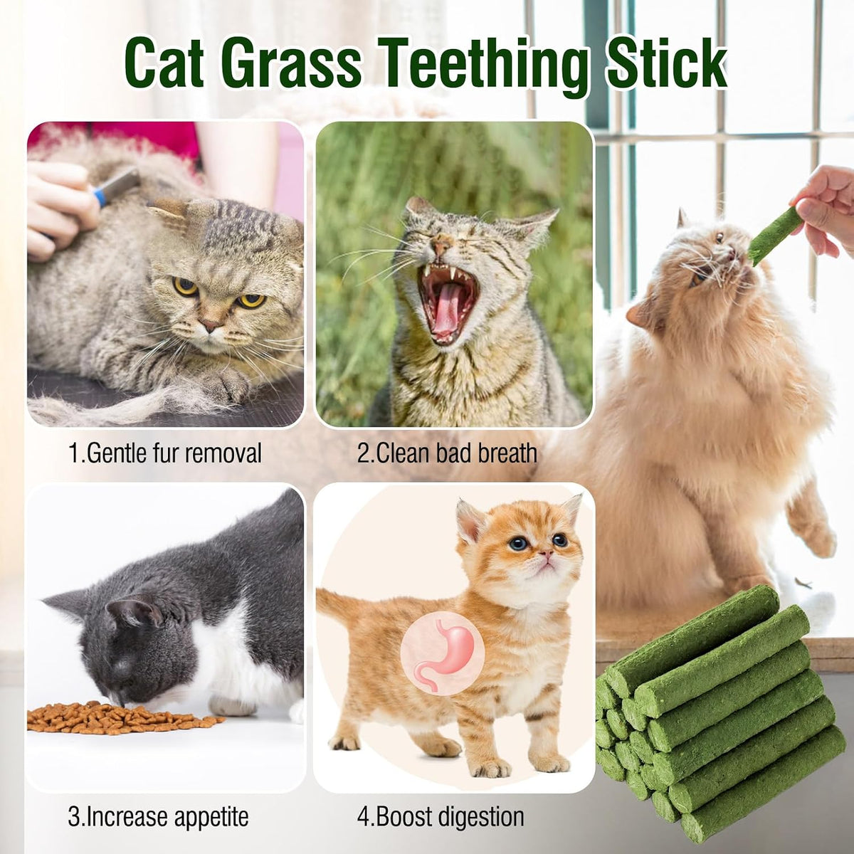 Kitten chewing on a natural grass treat stick for hairball removal.