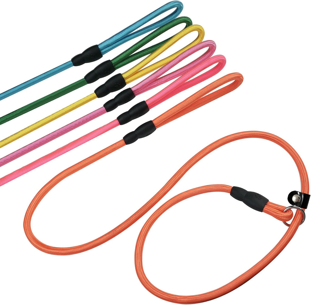 Packaging view of the authentic USA imported FOVRLZSE five piece dog leash set.