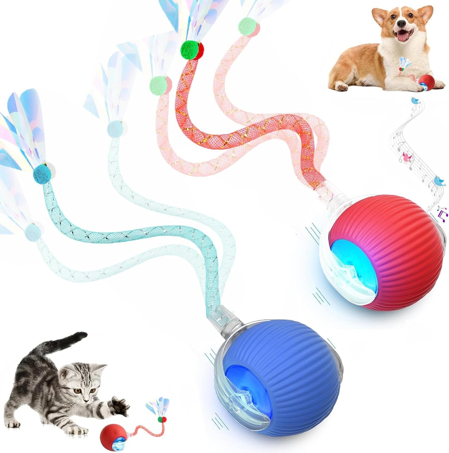 Tchernt Speed 2.0 interactive cat toy ball set front view