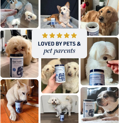 Veterinary Formula Eye Health Supplement for Dogs - Vet-Formulated Tear Stain Chews with Omega 3, Lutein & Cranberry - Smart Vitality Supports Eye Moisture, Stain Reduction & Immunity, 60 Soft Chews - Image 9