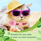 Six unique styles of soft chiffon pet grooming bows for dogs and cats.