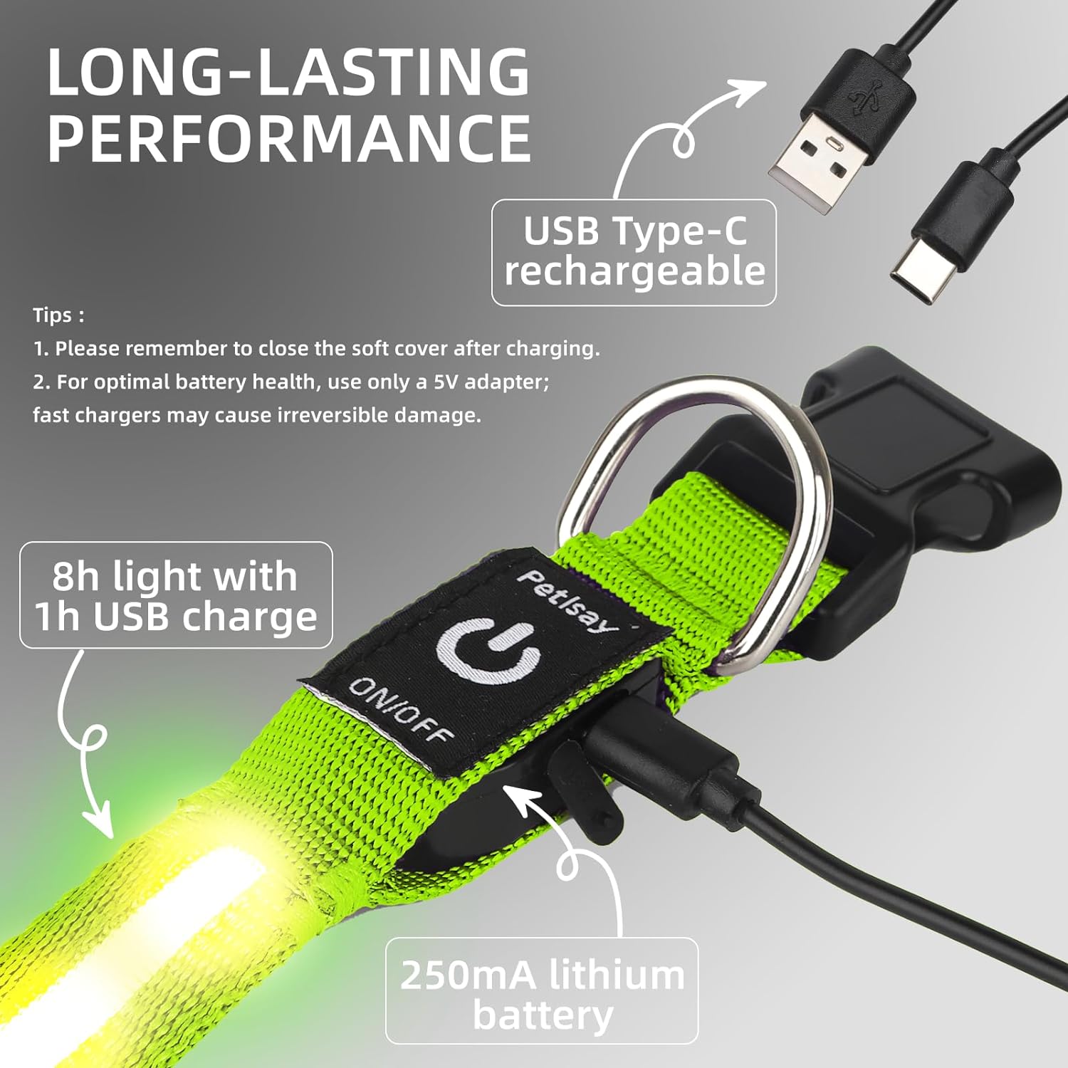 Petisay green LED collar worn on medium breed dog