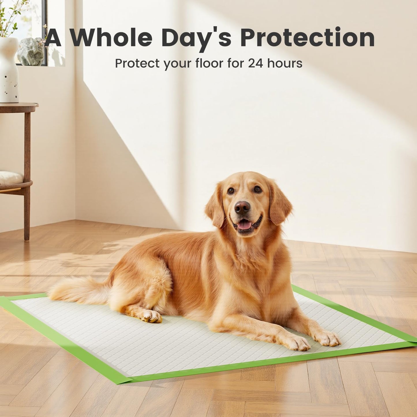 Gardner Pet extra large eco green disposable pads for senior dogs and cats