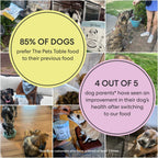 Two bags of The Pets Table fish recipe dog food for sensitive skin