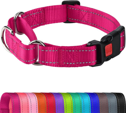 Joytale martingale dog collar hotpink medium front view on a pet leash training session