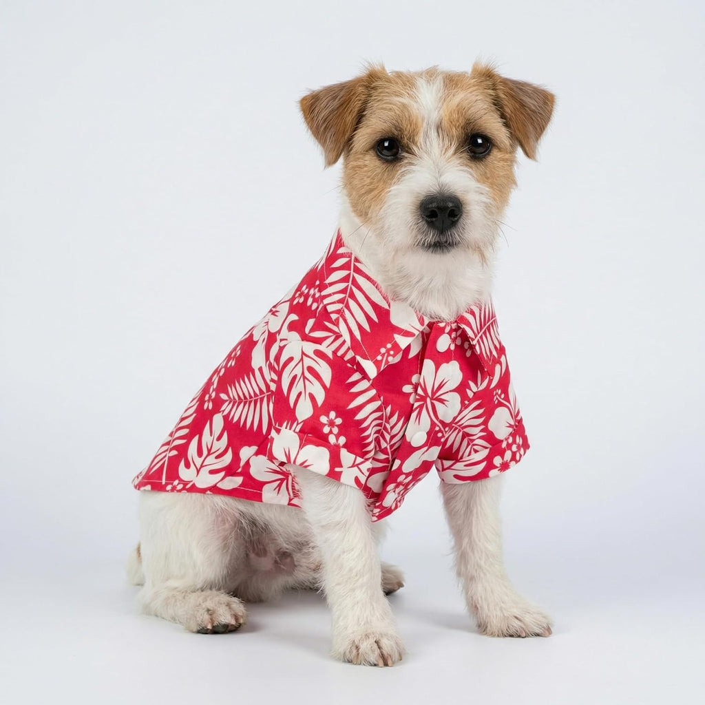 Detail of button closure on Fitwarm Hawaiian dog shirt