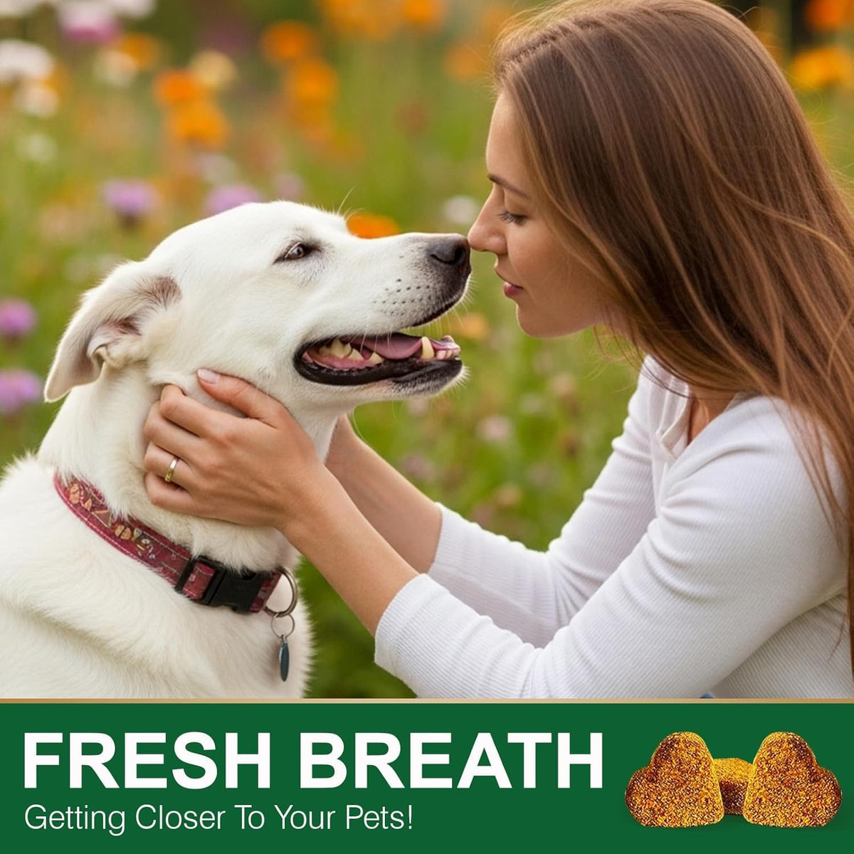 Digestive enzymes and probiotics soft chews for dog gut health.