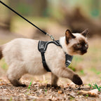 Premium USA imported pet walking gear for cats on Rudra Retails