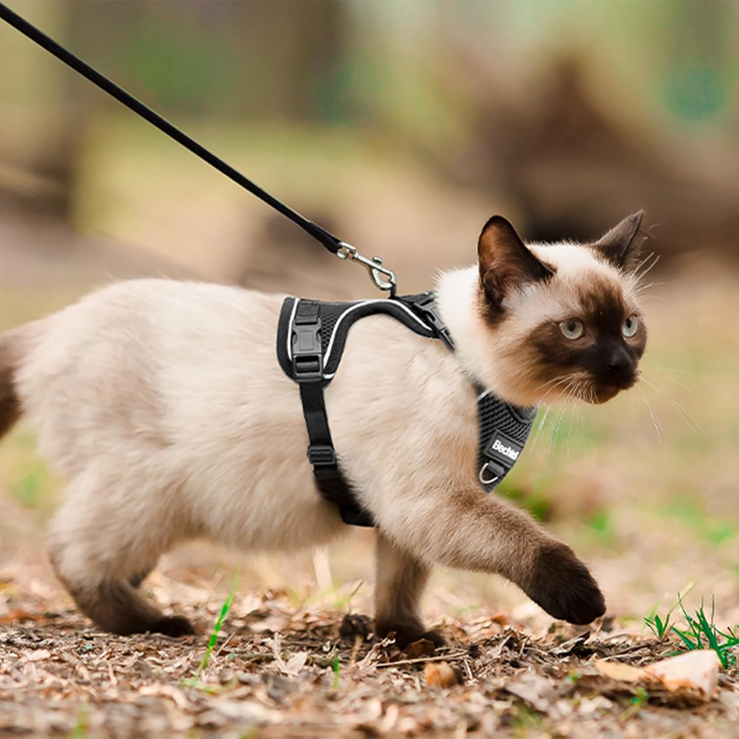 Premium USA imported pet walking gear for cats on Rudra Retails