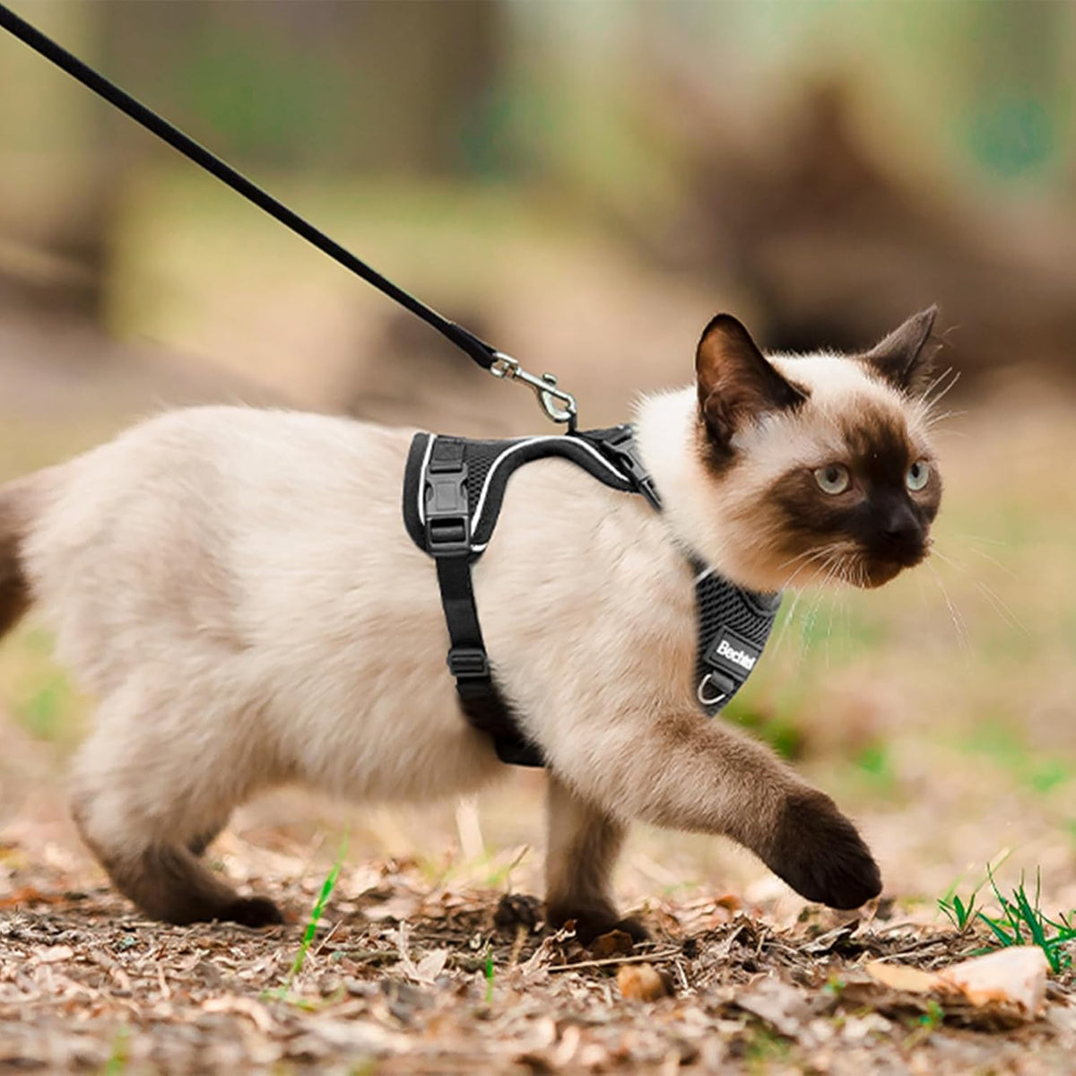 Premium USA imported pet walking gear for cats on Rudra Retails